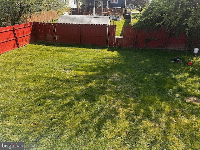 view of yard