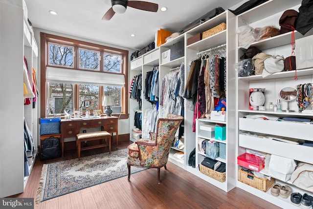 spacious closet featuring a ceiling fan and wood finished floors