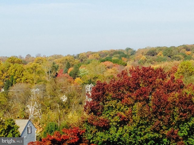 view of local wilderness featuring a wooded view