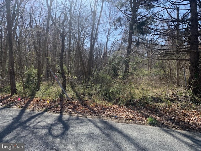 0 E Grant Ave, Williamstown NJ, 08094 land for sale