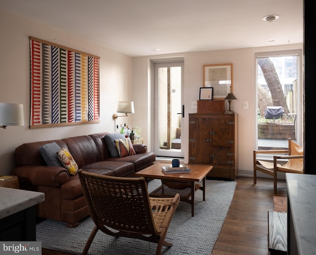 living area featuring dark wood-style flooring