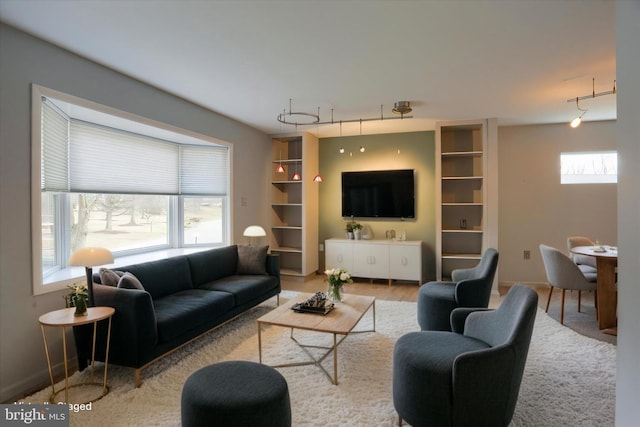 living room with baseboards, wood finished floors, and track lighting