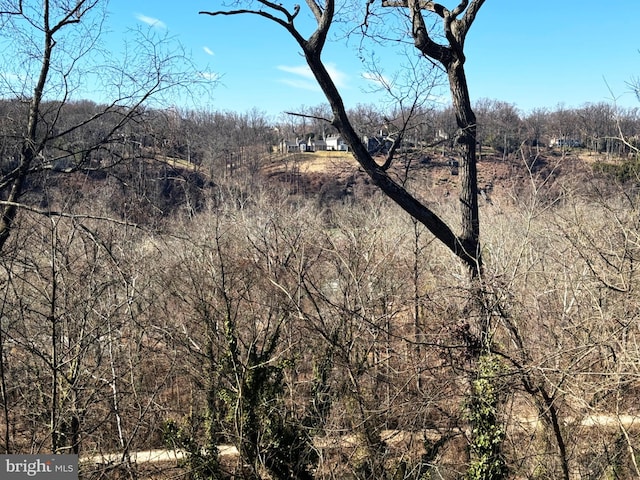 view of local wilderness