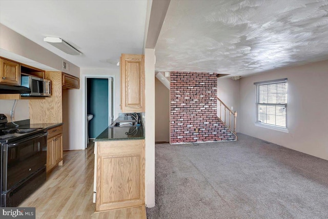 kitchen with stainless steel microwave, under cabinet range hood, light carpet, black electric range, and a sink