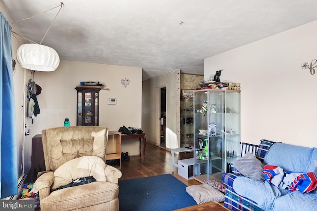 living area with wood finished floors