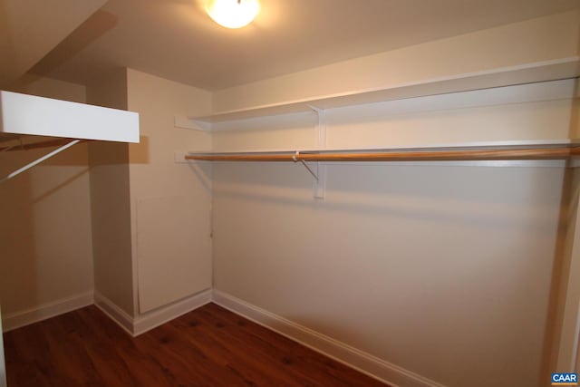 walk in closet featuring dark wood-style floors