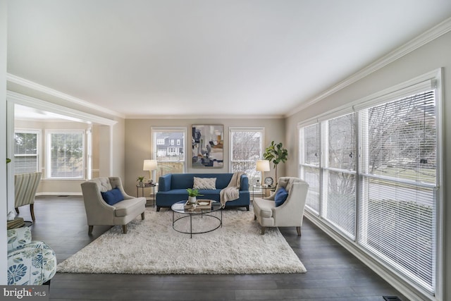 living area featuring dark wood-style floors, baseboards, and crown molding