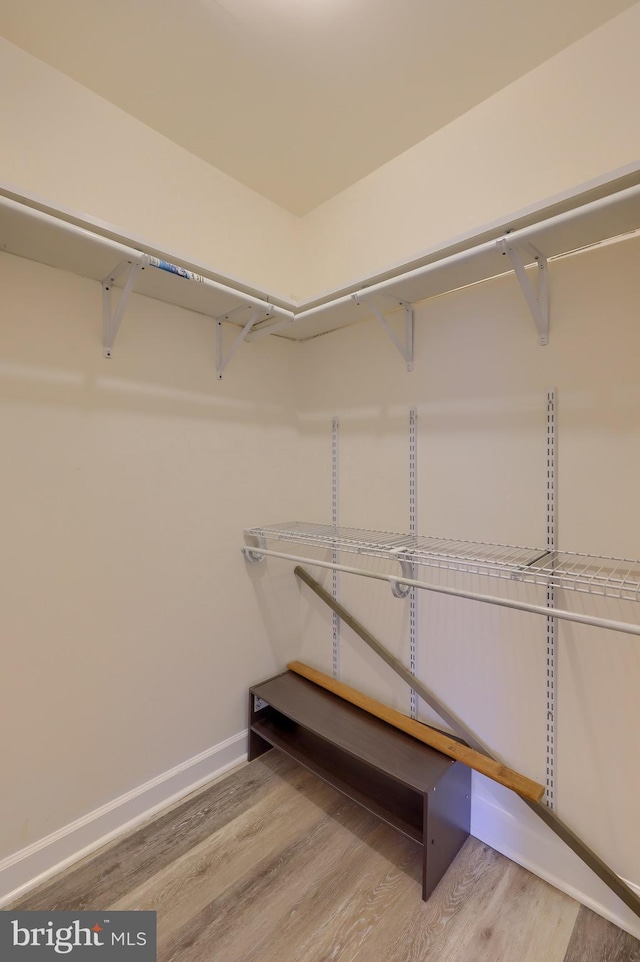 walk in closet featuring wood finished floors