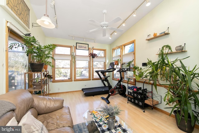 workout room with a ceiling fan, rail lighting, plenty of natural light, and wood finished floors