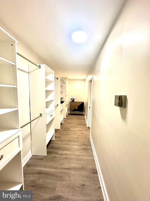 spacious closet featuring wood finished floors