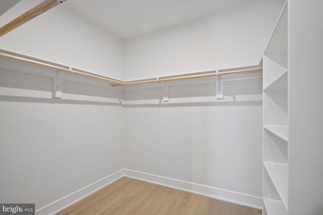 walk in closet featuring wood finished floors