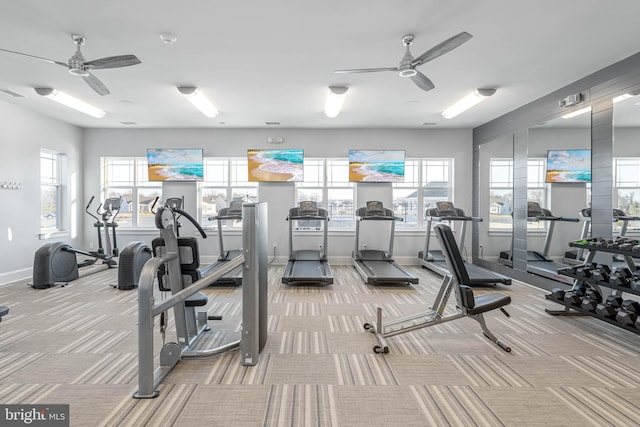 exercise room featuring carpet, visible vents, baseboards, and ceiling fan