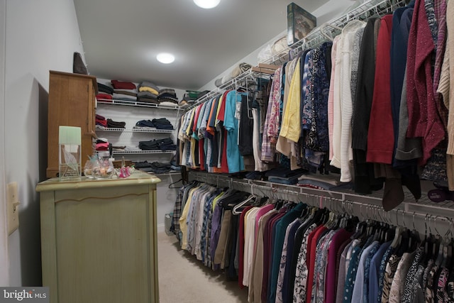 spacious closet featuring carpet