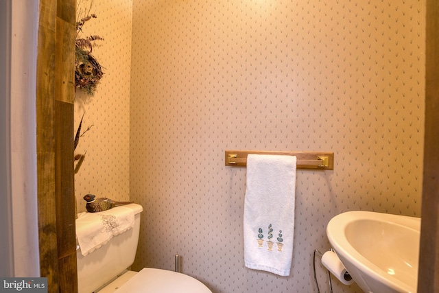 bathroom with a sink, toilet, and wallpapered walls