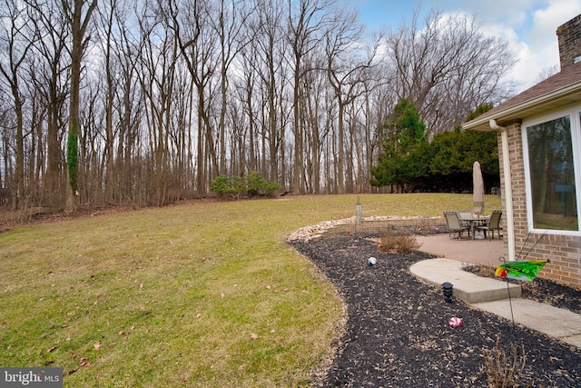 view of yard with a patio