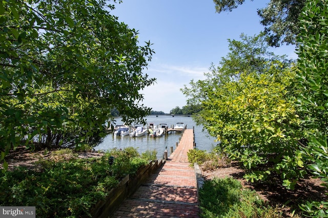 dock area with a water view