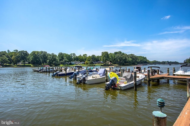 dock area featuring a water view