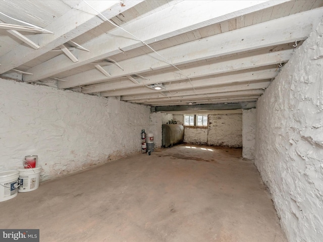 basement with heating fuel