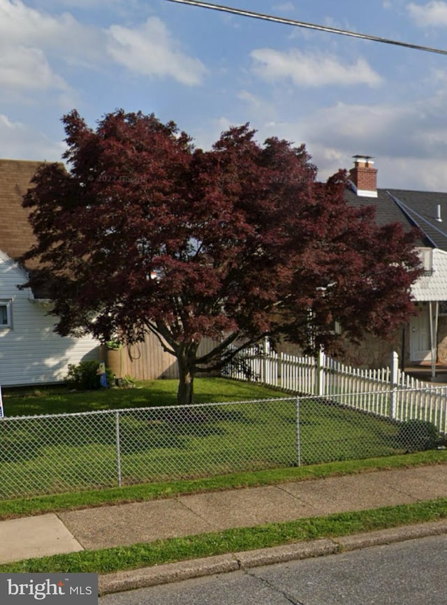 view of yard with a fenced front yard