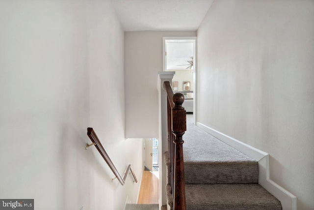 stairs with carpet flooring and baseboards