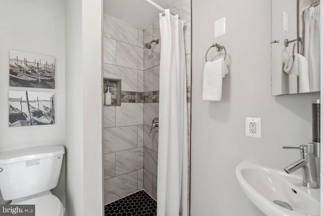 bathroom featuring toilet, a stall shower, and a sink