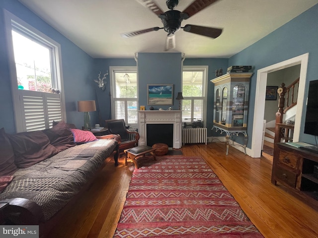 living room with plenty of natural light, radiator heating unit, a ceiling fan, and wood-type flooring