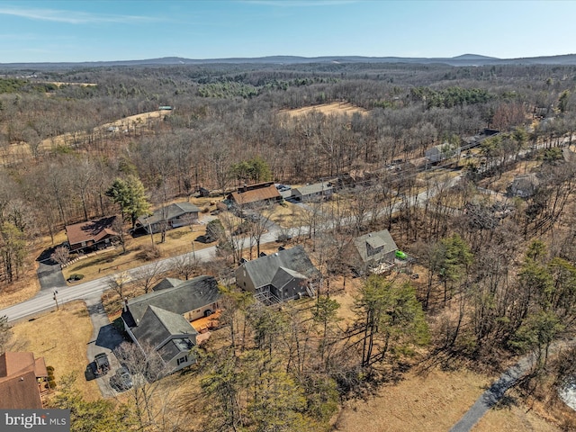 drone / aerial view with a mountain view