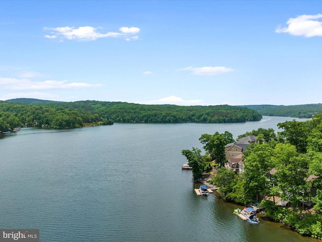 property view of water featuring a wooded view