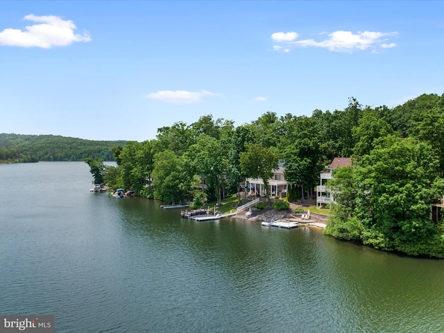 property view of water with a wooded view