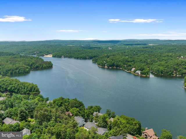 aerial view featuring a water view and a forest view