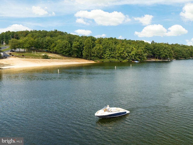 water view featuring a view of trees