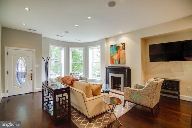 living area with wood finished floors, recessed lighting, and a fireplace