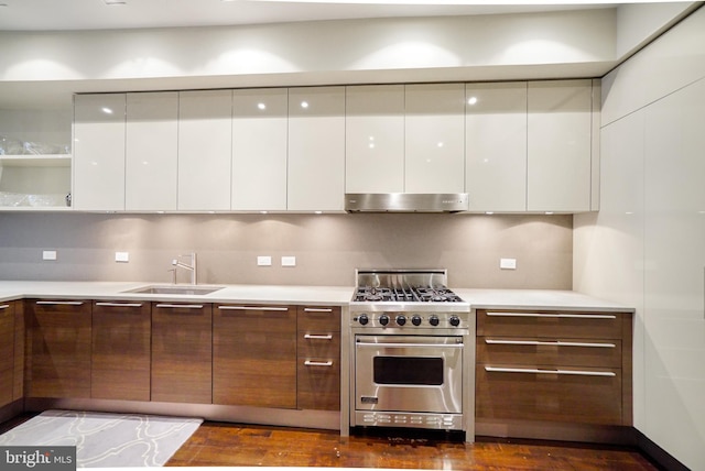 kitchen with under cabinet range hood, premium stove, modern cabinets, and a sink