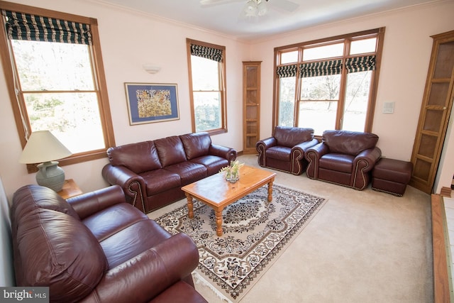 carpeted living area with ornamental molding, a wealth of natural light, and a ceiling fan