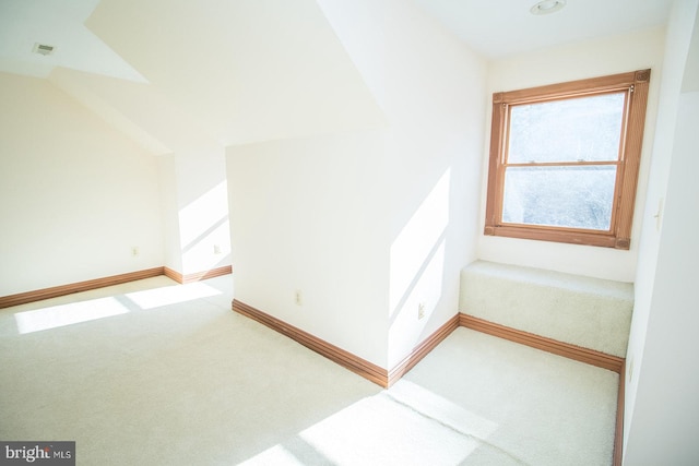 additional living space with carpet, visible vents, and baseboards