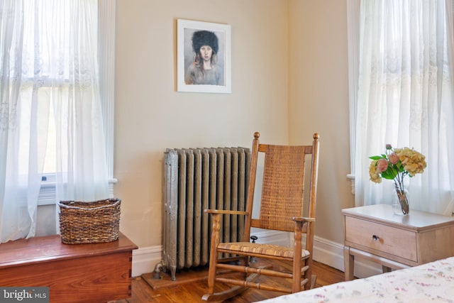 bedroom with radiator heating unit, multiple windows, and baseboards