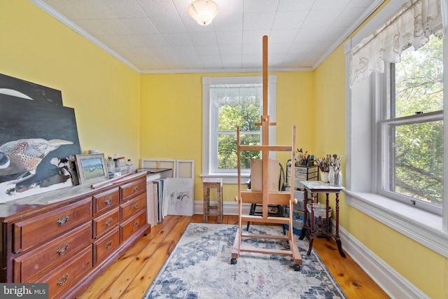 living area featuring crown molding, light wood finished floors, and baseboards