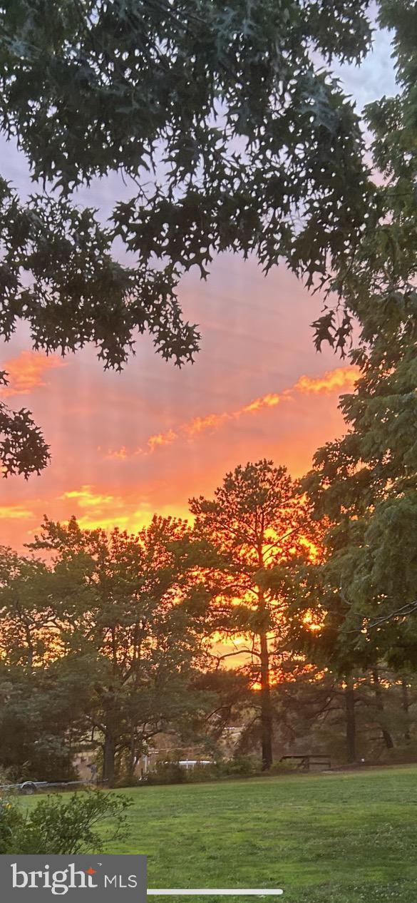 view of nature at dusk