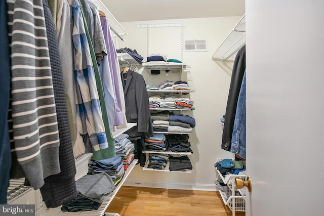 spacious closet featuring wood finished floors and visible vents