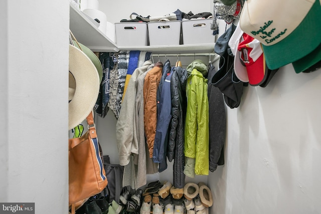 view of spacious closet