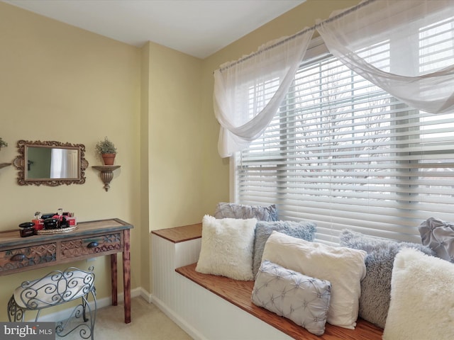 living area with carpet and baseboards