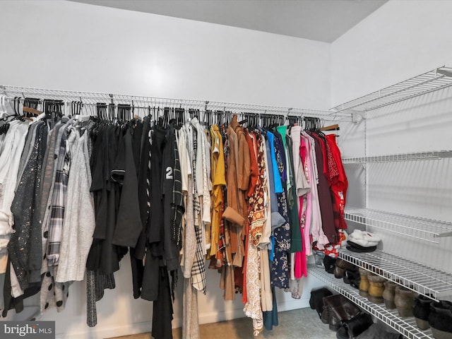 view of walk in closet