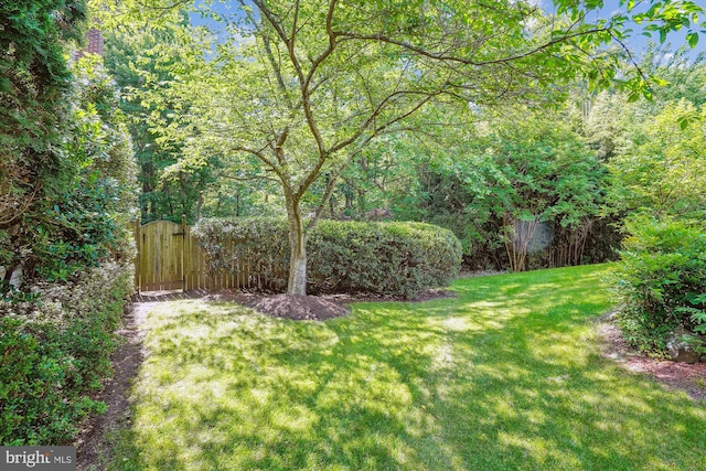 view of yard with a view of trees