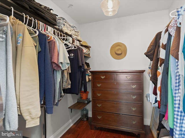 spacious closet featuring dark wood finished floors