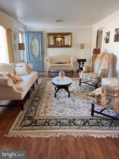 living room featuring ornamental molding and dark wood-type flooring