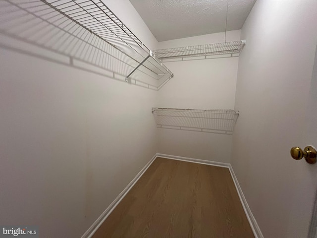 spacious closet with wood finished floors