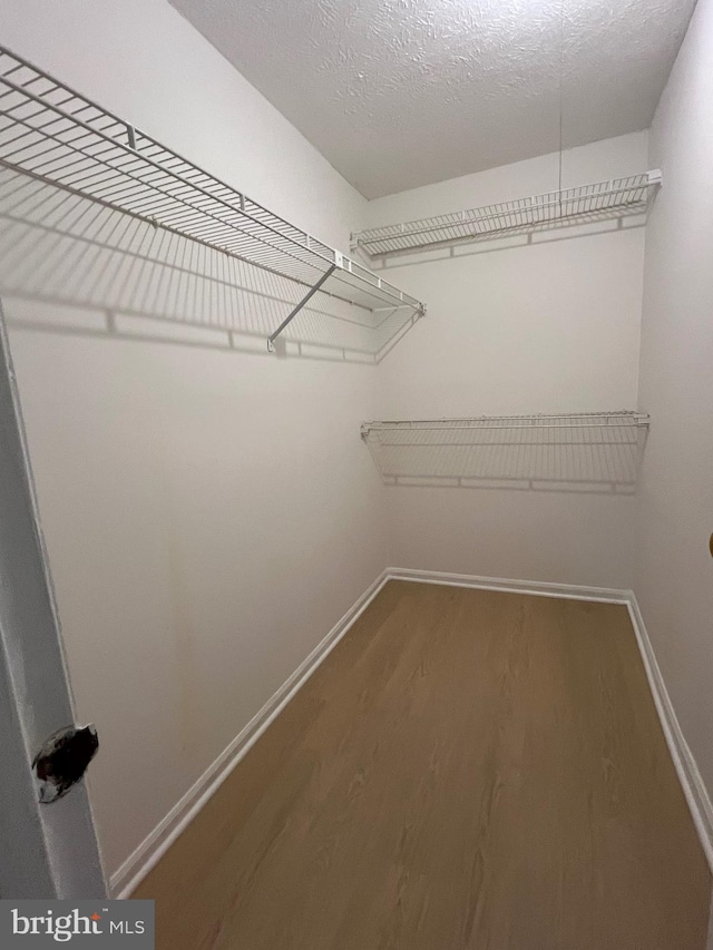 spacious closet featuring wood finished floors