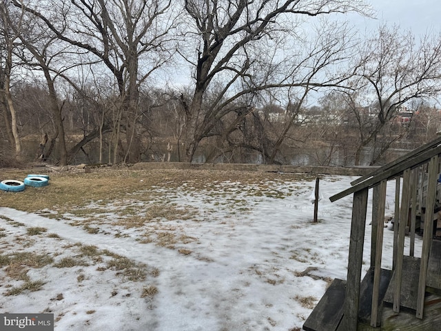 view of yard covered in snow