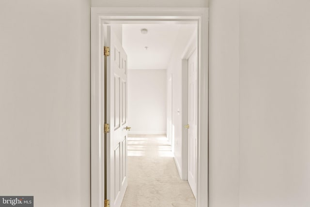 8610 Liberty Trl Unit 102, Manassas, VA 20110 - hall with carpet floors and baseboards