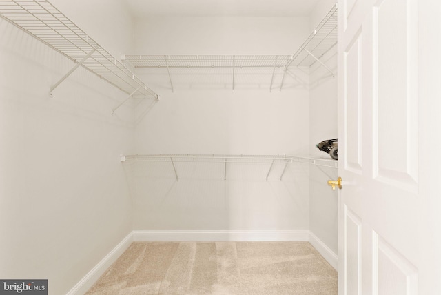 8610 Liberty Trl Unit 102, Manassas, VA 20110 - spacious closet with carpet